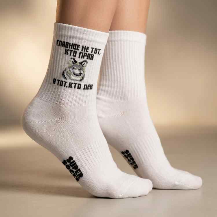 Носки SuperSocks: Главное не тот кто прав, а кто лев