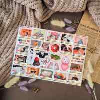 Стикерпак NKS PACK NOVELLES