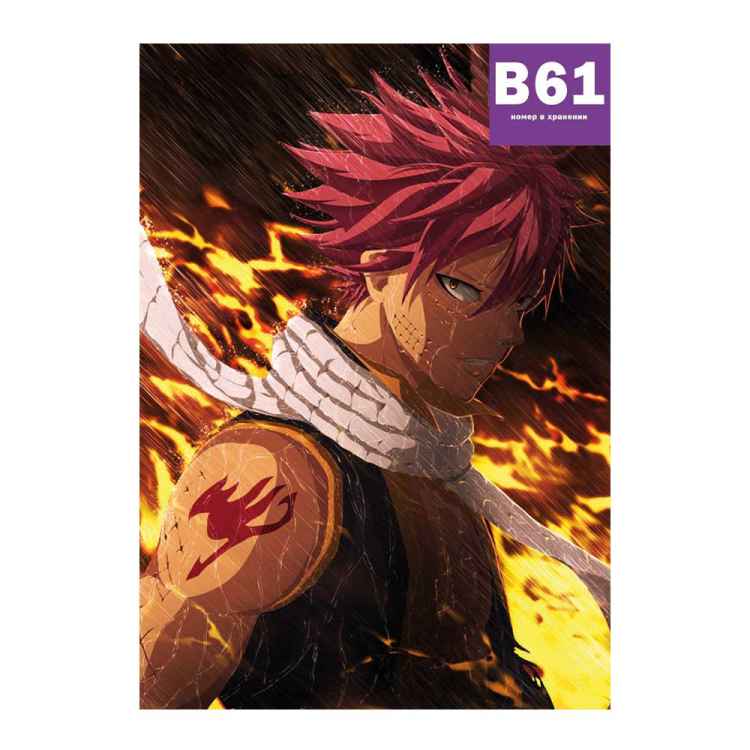 Постер Fairy Tail: Нацу