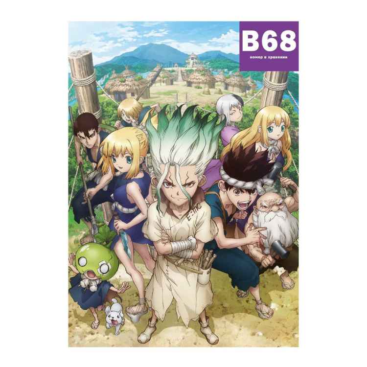 Постер Dr. Stone: Команда иследователей 