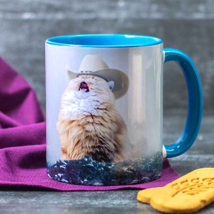 Кружка Meme: Котя-ковбой