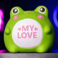 Копилка Лягушкаа "My love"