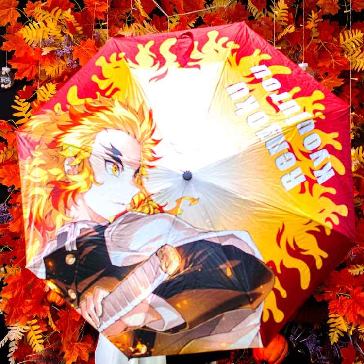 Зонт складной: Demon Slayer: Кожура