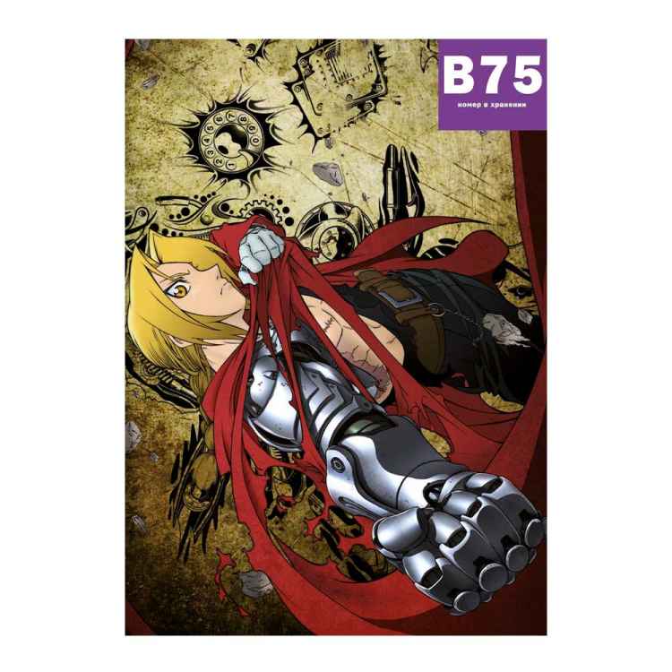 Постер Fullmetal Alchemist: Эдвард Элрик
