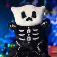 Рюкзак Скелет кота