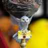 Кубок Owl Postal