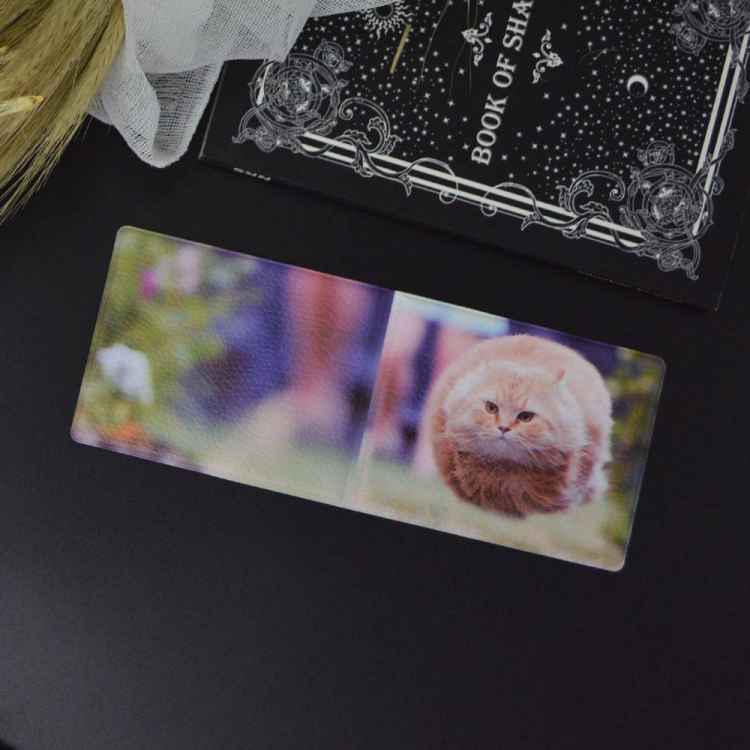 Обложка на студенческий билет: Кот летит