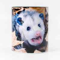 Кружка Meme: Опоссум