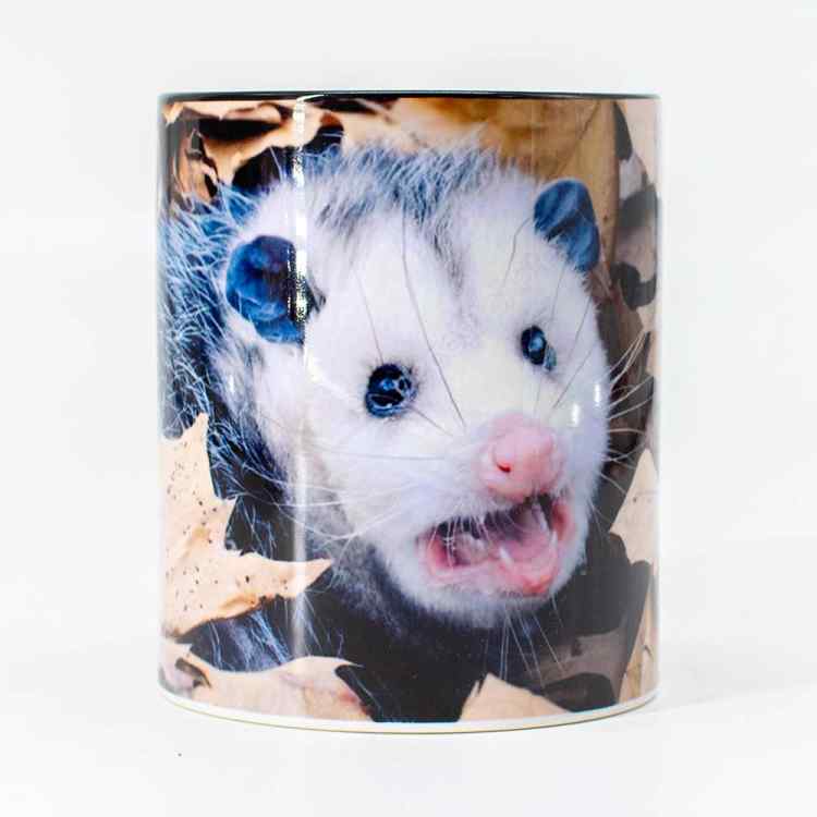 Кружка Meme: Опоссум