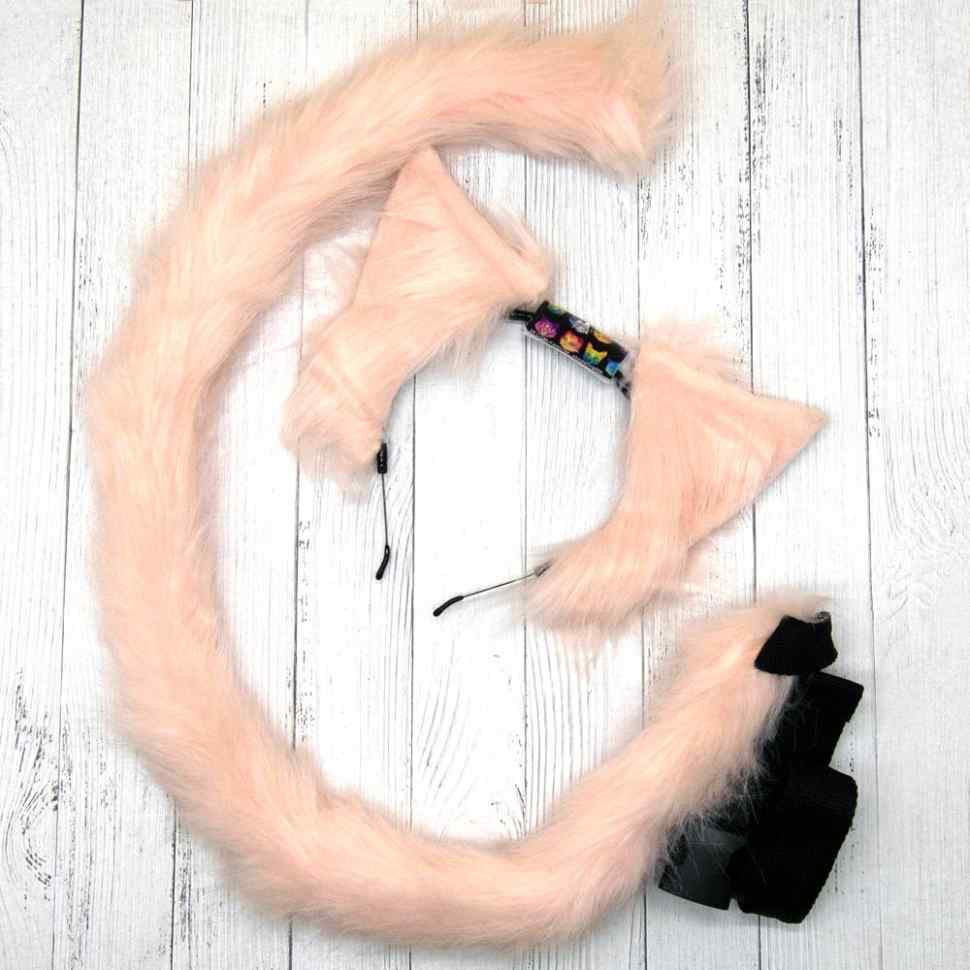 Уши и хвост. Песня ушки хвост. Усы лапы хвост. Песня ушки хвост. Ушки хвостик ошейник и фиолетово цвета для кадровики.