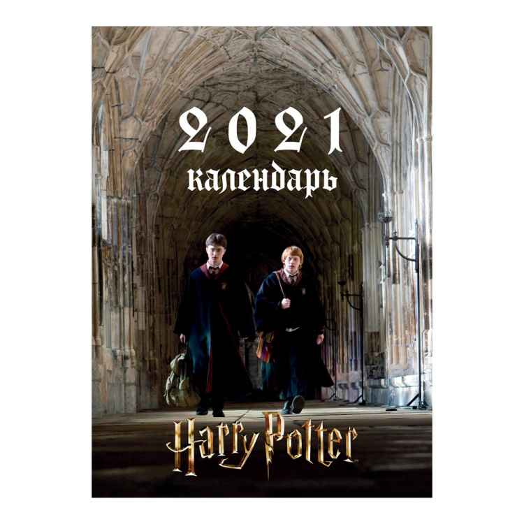 Календарь настенный Harry Potter 2021
