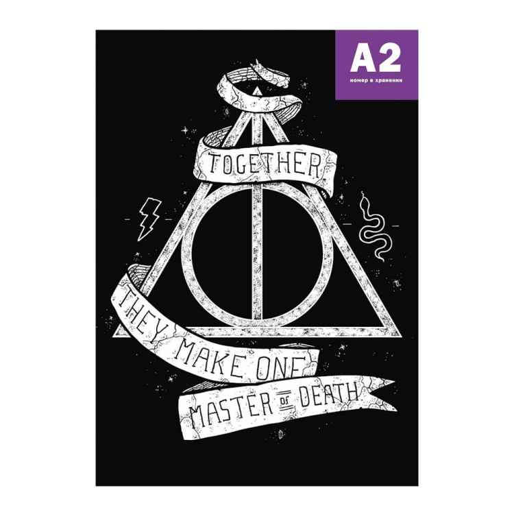 Постер Harry Potter: Together…they Make One Master Of Death   