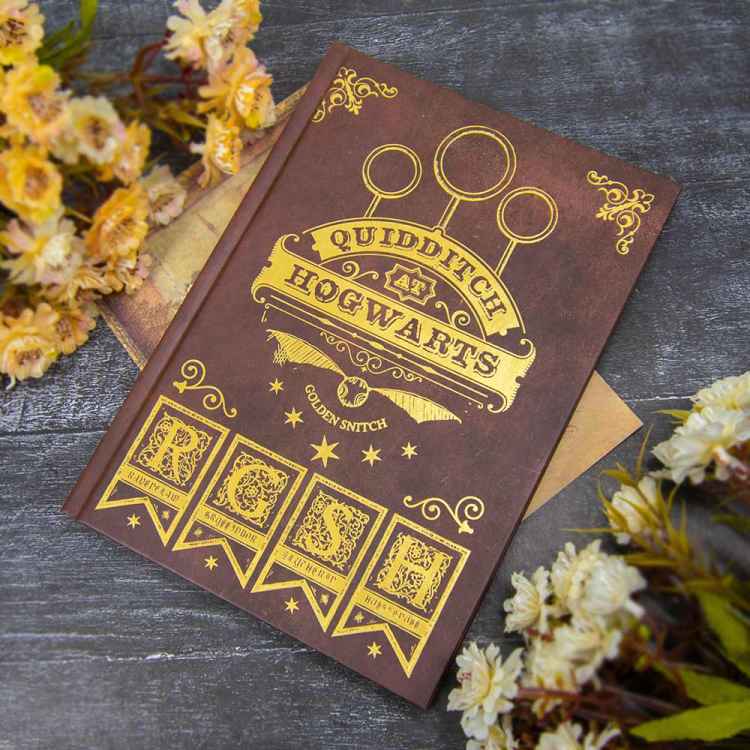 Записная книжка Quidditch X4