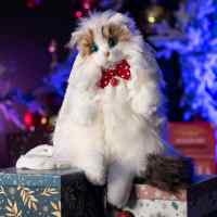 Сумка Douyin Same: Регдолл (Клубничный бант)