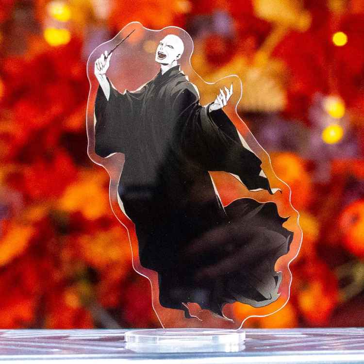 Фигурка акриловая Harry Potter: Лорд Волдеморт