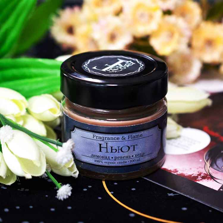 Свеча в стеклянной упаковке Fragrance&Flame: Ньют 100 мл Свеча в стеклянной упаковке Fragrance&Flame: Ньют 100 мл