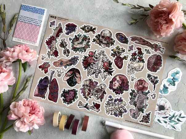 Стикерпак NKS PACK ANATOMY