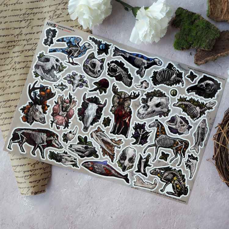 Стикерпак NKS PACK ANATOMICUS