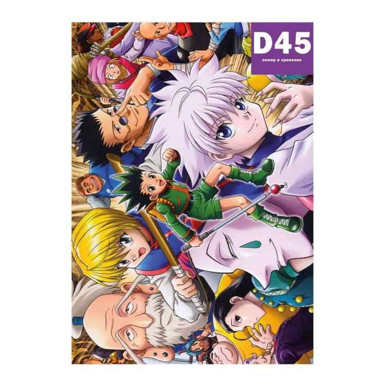 Постер Hunter × Hunter: Hunter