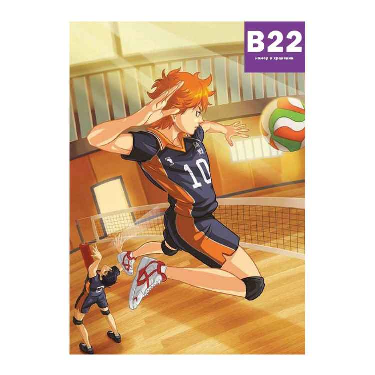 Постер Haikyuu!!: Хината