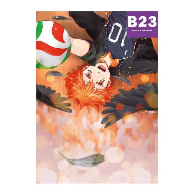 Постер Haikyuu!!: Хината с мячом