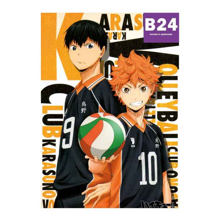 Постер Haikyuu!!: Кагеяма и Хината