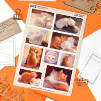 Стикерпак NKS D-PACK SUNNY KITTY