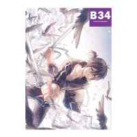 Постер Noragami: Ято с птицами