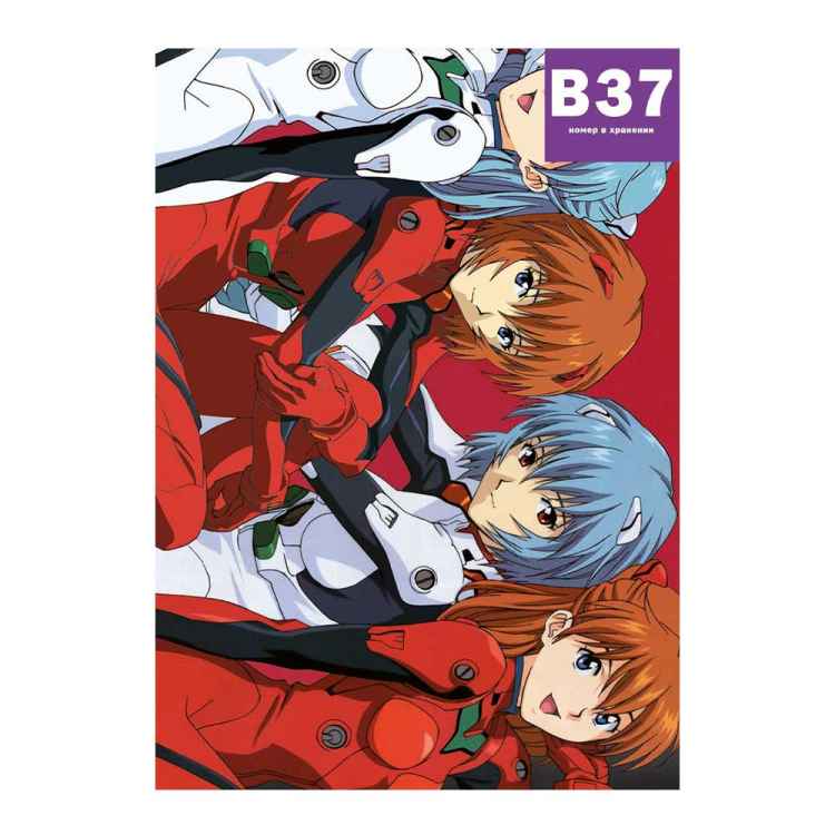 Постер Evangelion: Аска и Рей