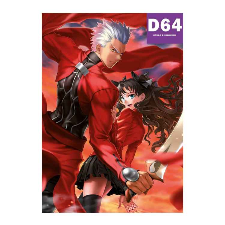 Постер Fate: Рин и Арчер