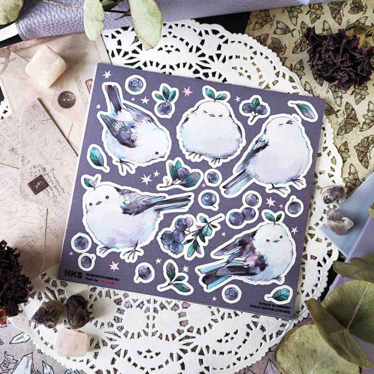 Стикерпак NKS QPACK BLUEBERRY