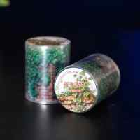 Скотч декоративный Retro Story: Зелень на стене