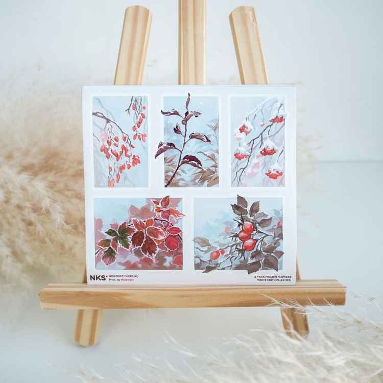 Стикерпак NKS QPACK FROZEN FLOWERS Стикерпак NKS QPACK FROZEN FLOWERS
