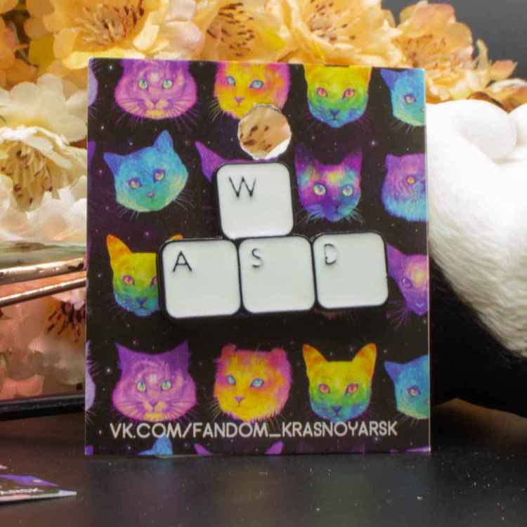 Пин "WASD"