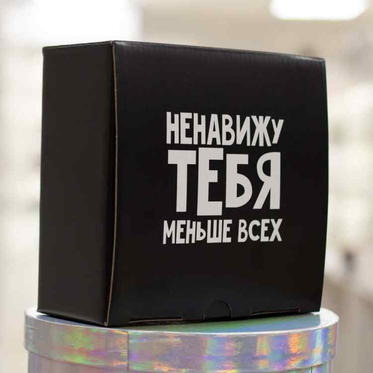 Коробка‒пенал «Ненавижу меньше всех», 15 × 15 × 7 см