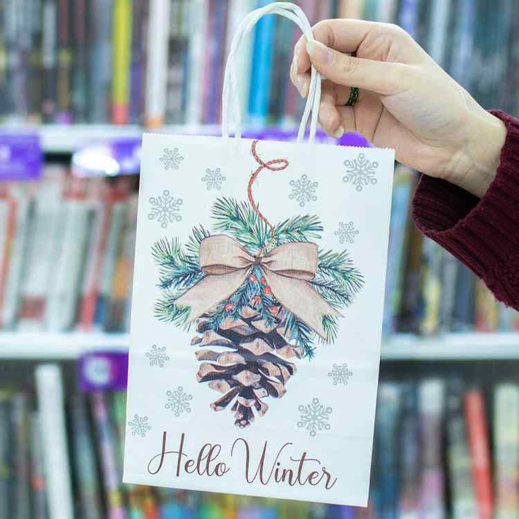 Пакет подарочный «Шишка»